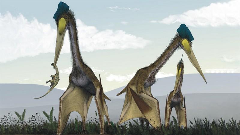 okamenelosti-ogromnyx-pterozavrov-rasskazali-o-zavtrake-monstra
