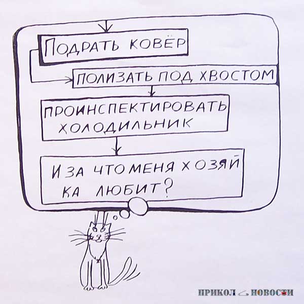 Прикольные картинки карикатуриста Александра Петрова. Любимец.