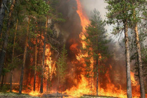 Пожары в Хакассии. От поджога травы и шквалистого ветра горят целые поселки