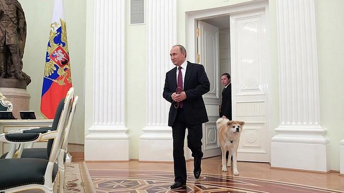 Собака Владимира Путина по кличке Юмэ напугала японских журналистов ВИДЕО