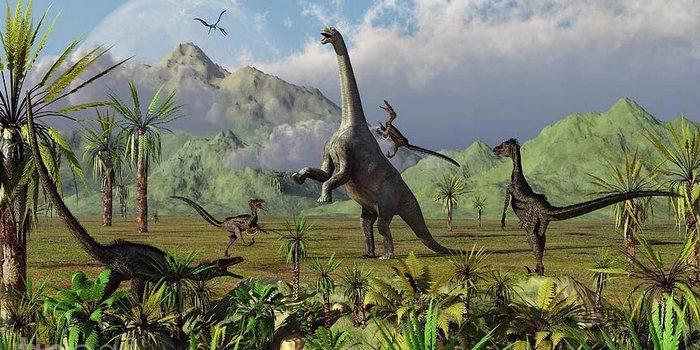 najdeny-yajca-dinozavrov-datiruemye-70-mln-let-do-n-e-video