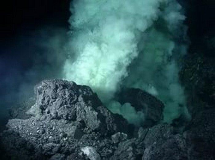 Робот снял таинственных акул в подводном вулкане ВИДЕО